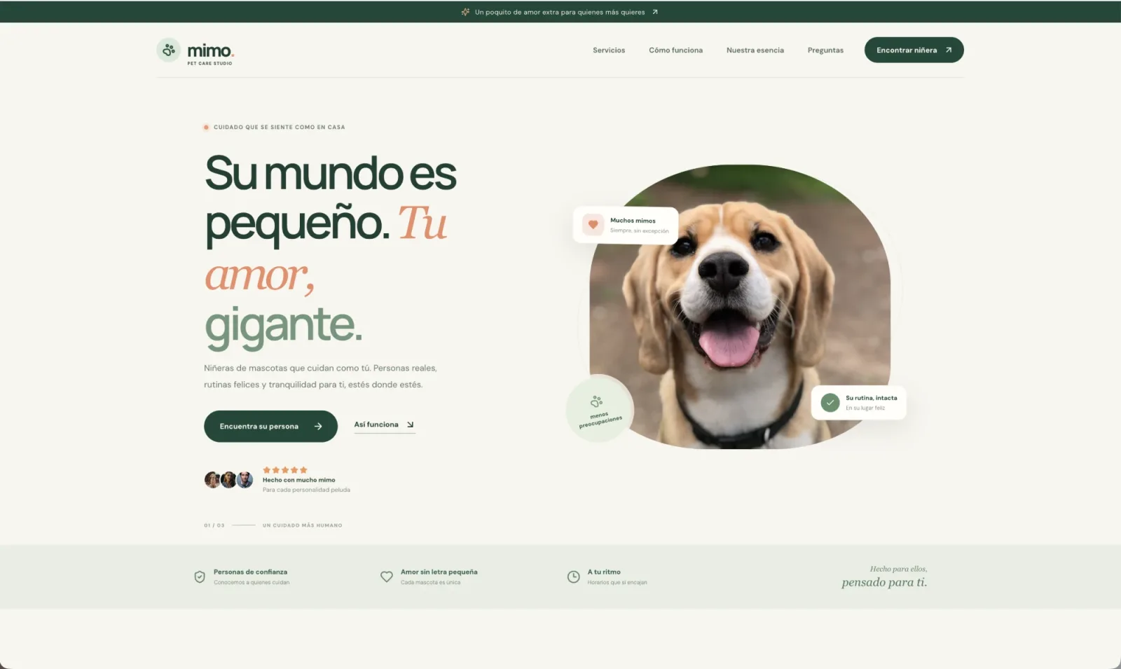 The website ALL built from free ChatGPT